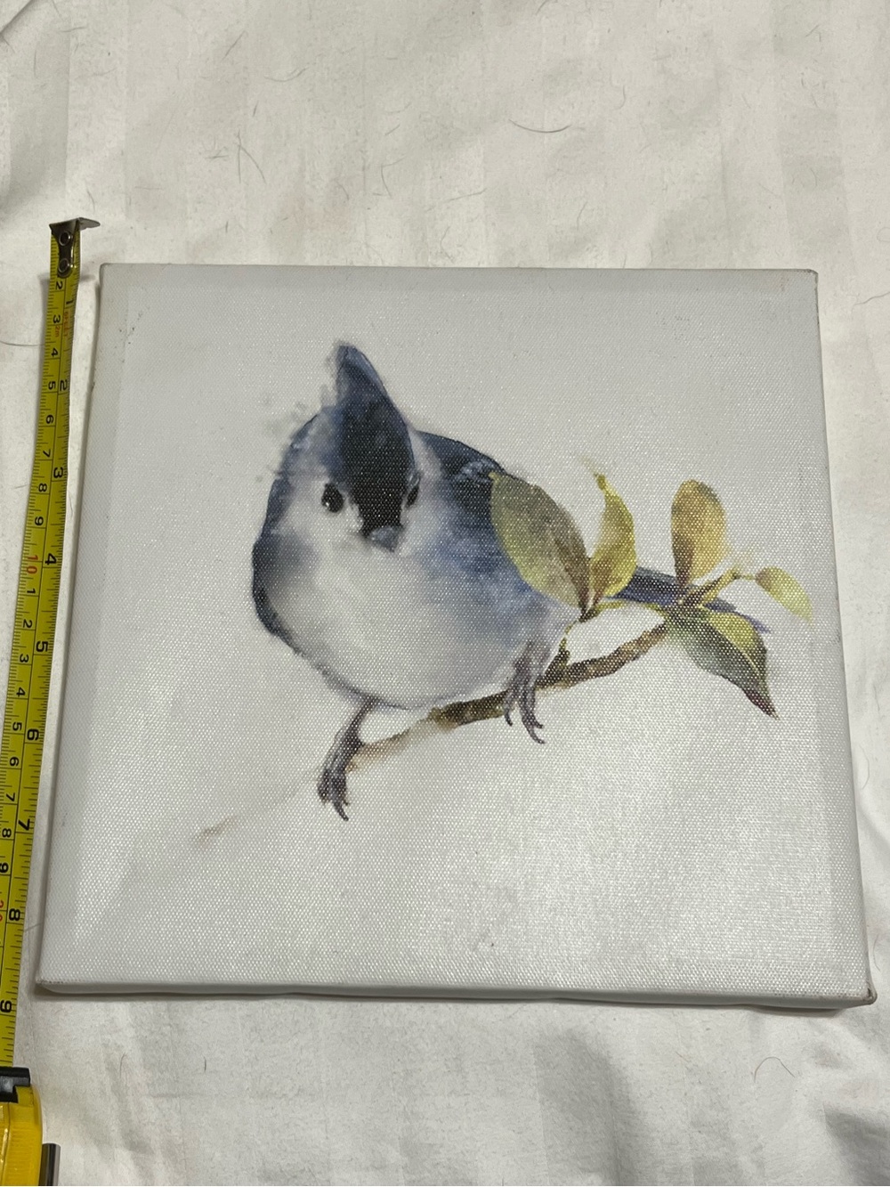Blue Tit Bird Canvas Wall Art - Decorative Pet Bird Print